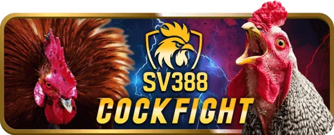 Sân chơi đá gà f8bet2 casino